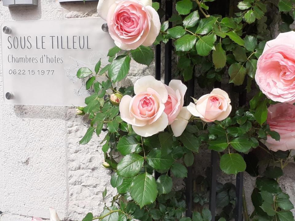 Sous Le Tilleul A Ruoms Kültér fotó